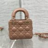 LADY DIOR MICRO BAG