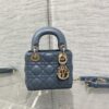 LADY DIOR MICRO BAG