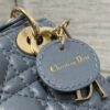 LADY DIOR MICRO BAG