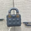 LADY DIOR MICRO BAG