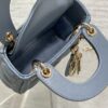 LADY DIOR MICRO BAG