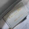 LADY DIOR MICRO BAG