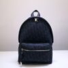 Dior Rider Backpack