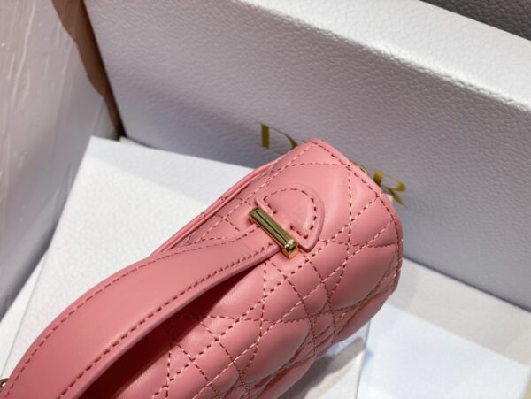 Mini Miss Dior Bag