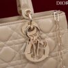 Dior Lady D-Joy Bag Medium