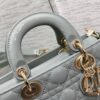 SMALL LADY D-JOY BAG