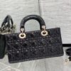 Dior Lady D-Joy Bag Medium