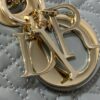 Dior Lady D-Joy Bag Medium