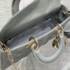 Dior Lady D-Joy Bag Medium