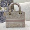 Dior Medium Lady D-Lite bag