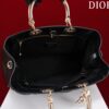 DIOR LADY 95.22