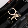 DIOR LADY 95.22