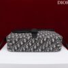 Dior Saddle Pouch