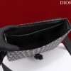 Dior Saddle Pouch