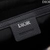 Dior Saddle Pouch