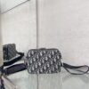 Dior Oblique Pouch