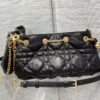 Small Dior Ammi bag