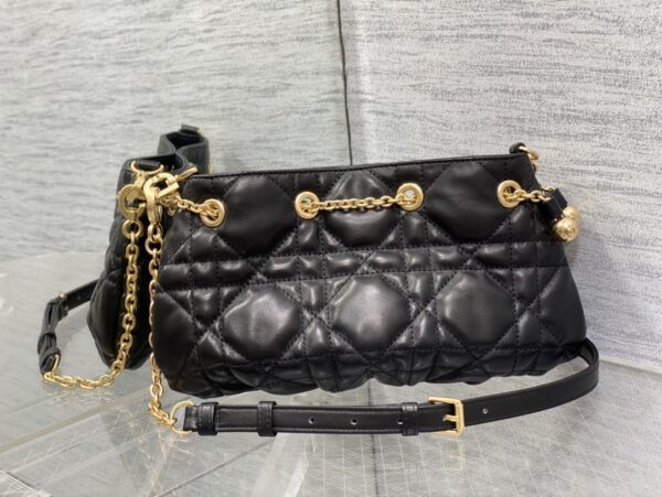 Small Dior Ammi bag