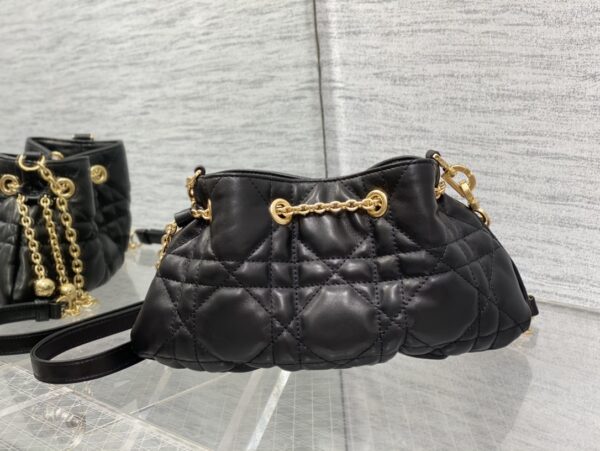 Small Dior Ammi bag