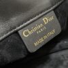 Small Dior Ammi bag