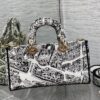 Dior Lady D-Joy Bag Medium
