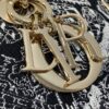 Dior Lady D-Joy Bag Medium