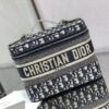 DIOR TRAVEL VANITY