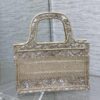 Dior Book Tote Mini