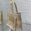 Dior Book Tote Mini