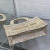 Dior Book Tote Mini