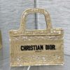 Dior Book Tote Mini