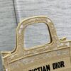 Dior Book Tote Mini