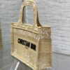 Dior Book Tote Mini