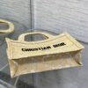 Dior Book Tote Mini