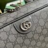 OPHIDIA GG SHOE CASE