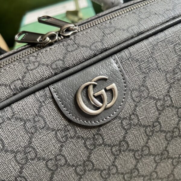 OPHIDIA GG SHOE CASE