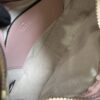 Gucci GG MATELASSÉ MINI BAG
