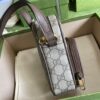 Gucci OPHIDIA MINI BAG
