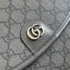 wsxc1688825986919_4.jpg Gucci OPHIDIA MESSENGER BAG