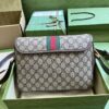 wsxc1688825988944_1.jpg Gucci OPHIDIA MESSENGER BAG