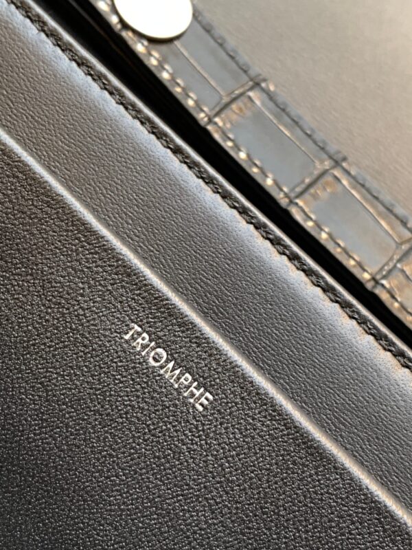 CELINE TRAPEZE TRIOMPHE BAG
