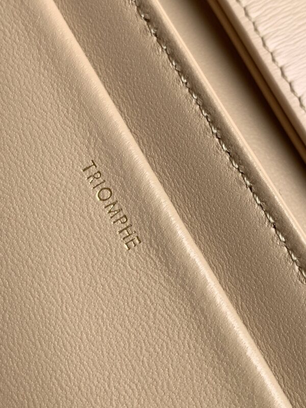 CELINE TRAPEZE TRIOMPHE BAG