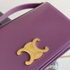 CELINE TRAPEZE TRIOMPHE BAG