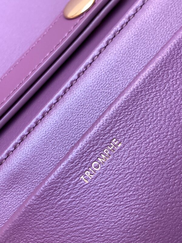 CELINE TRAPEZE TRIOMPHE BAG
