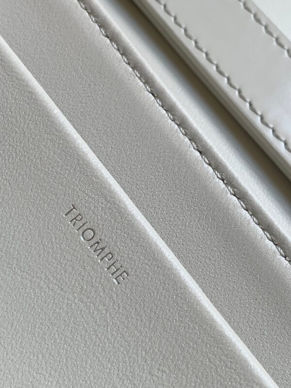 CELINE TRAPEZE TRIOMPHE BAG