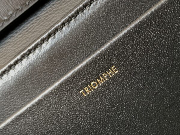 CELINE TRAPEZE TRIOMPHE BAG