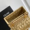 Celine Plein Soleil Bag