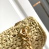 Celine Plein Soleil Bag