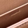 CELINE CLASSIQUE TRIOMPHE BAG