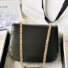 Celine Besace Triomphe Bag
